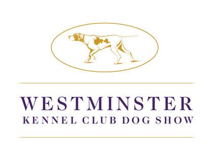 Westminster Kennel Club Dog Show - Breed Judging (Morning Session) at Arthur Ashe Stadium
