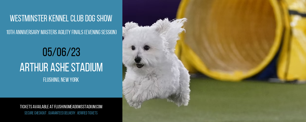 Westminster Kennel Club Dog Show - 10th Anniversary Masters Agility Finals (Evening Session) at Arthur Ashe Stadium