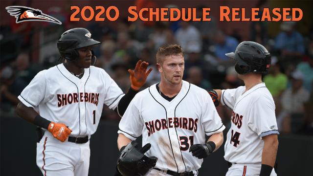 Delmarva Shorebirds vs. Asheville Tourists [CANCELLED] at Arthur Ashe Stadium