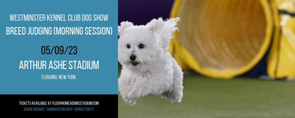 Westminster Kennel Club Dog Show - Breed Judging (Morning Session) at Arthur Ashe Stadium