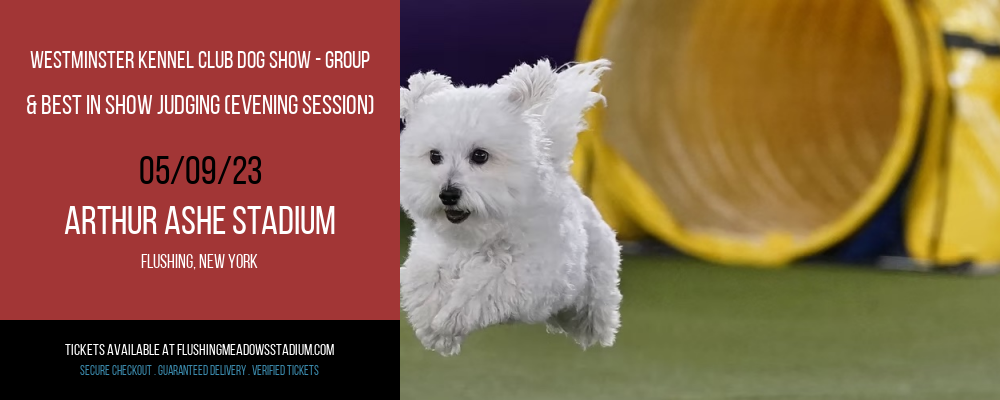 Westminster Kennel Club Dog Show - Group & Best in Show Judging (Evening Session) at Arthur Ashe Stadium