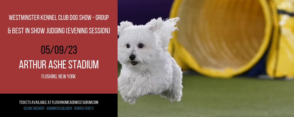Westminster Kennel Club Dog Show - Group & Best in Show Judging (Evening Session) at Arthur Ashe Stadium tickets Westminster Kennel Club Dog Show - Group & Best in Show Judging (Evening Session) at Arthur Ashe Stadium