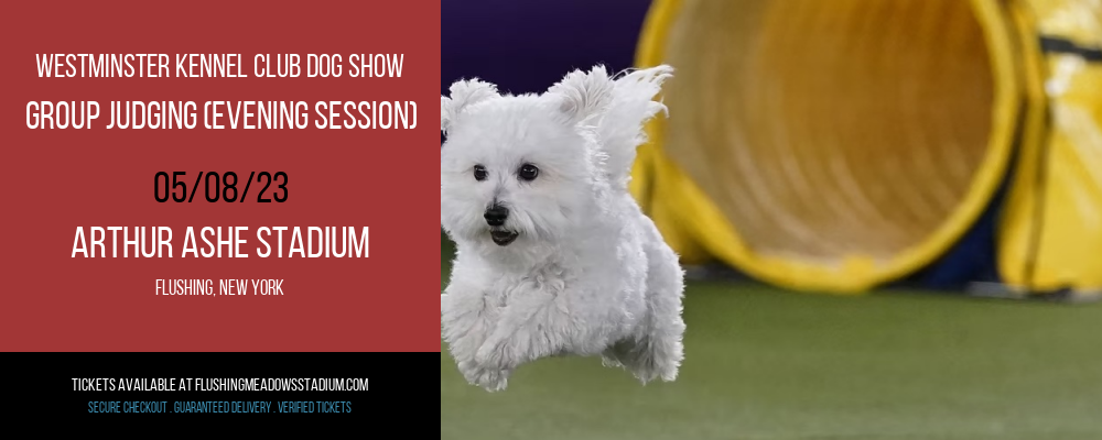 Westminster Kennel Club Dog Show - Group Judging (Evening Session) at Arthur Ashe Stadium tickets Westminster Kennel Club Dog Show - Group Judging (Evening Session) at Arthur Ashe Stadium